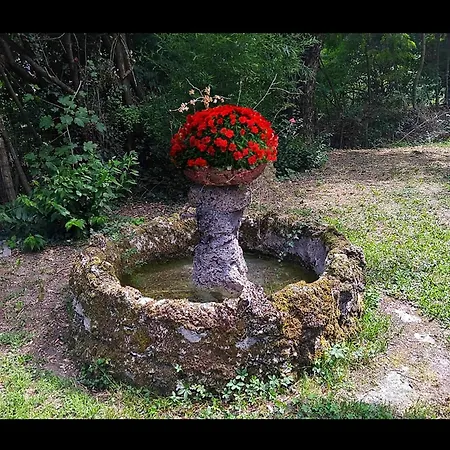 Da Gianduia * San Piero in Bagno
